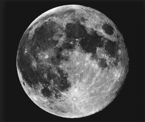 Israel Goes To The Moon!