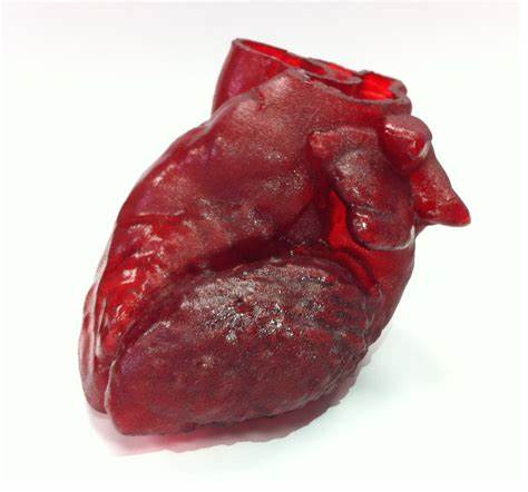 Israeli Researches Print 3D Heart Made Of Human Tissue